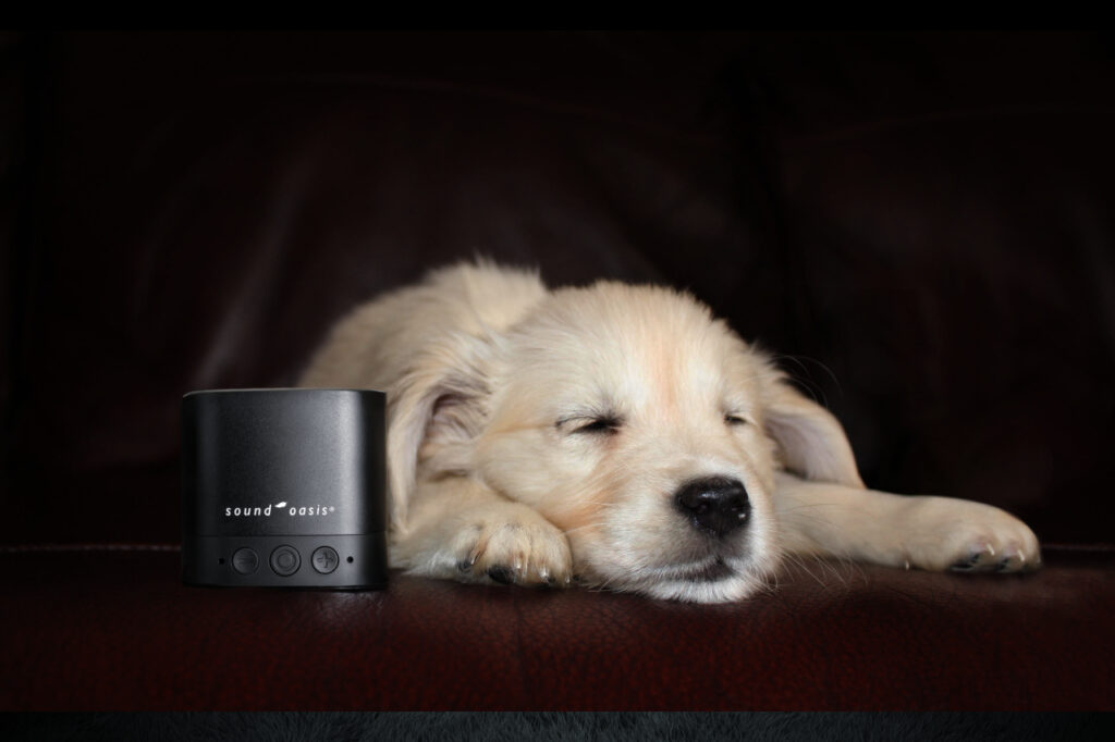 bluetooth pet therapy sound system
