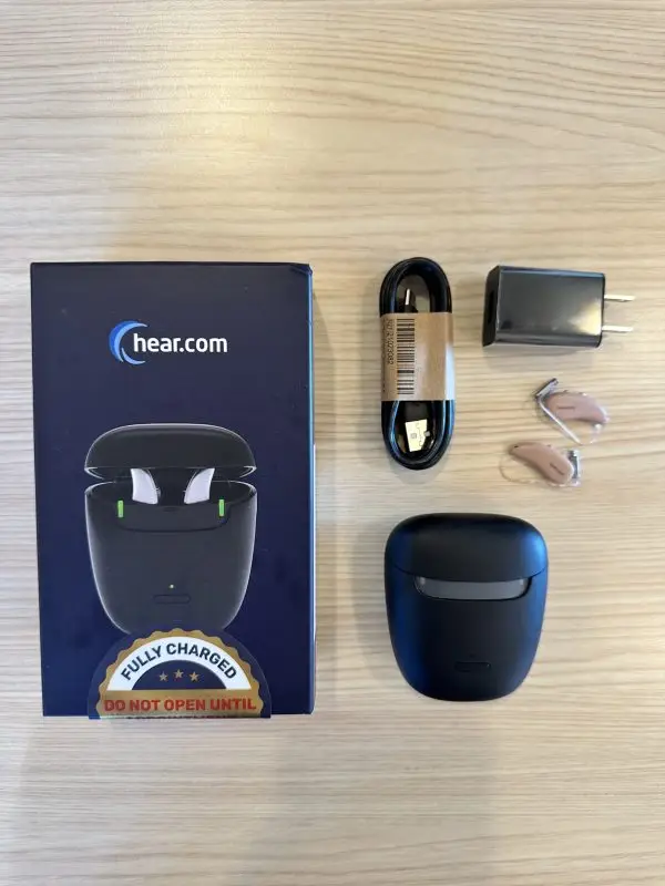 Used Horizon Go 7IX Hearing Aids